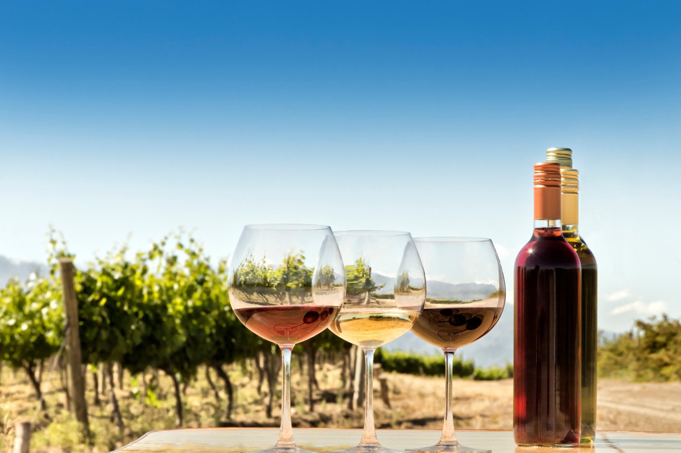 A California Grand Tour Calgary Coop Wine Spirits Beer