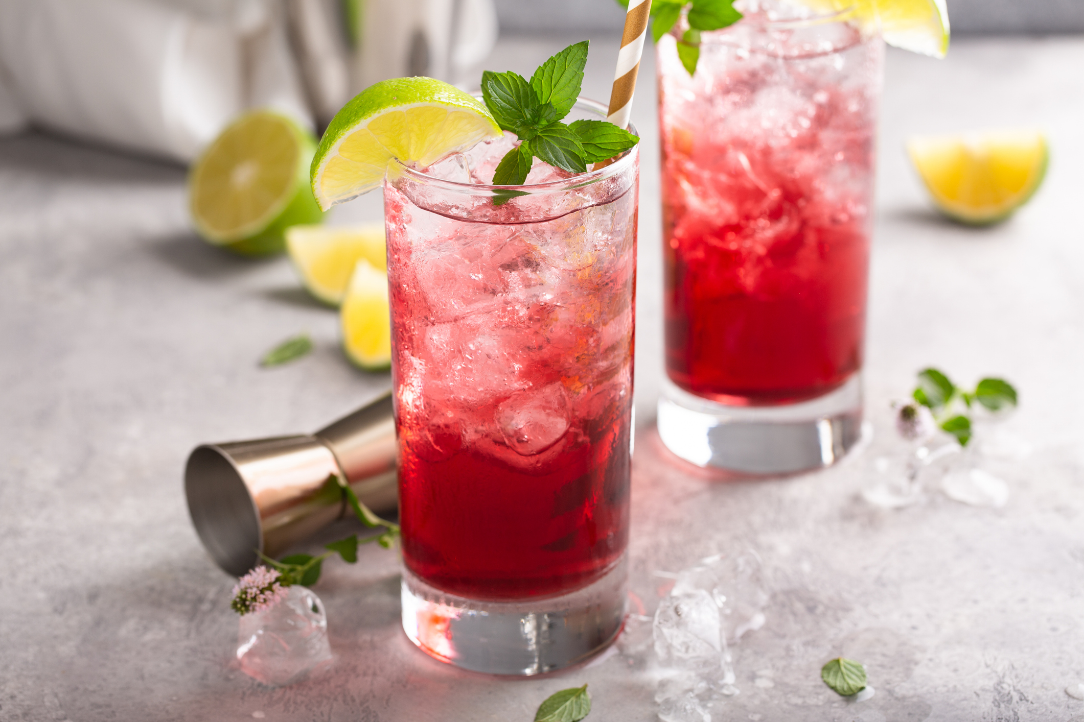 Kentucky Oaks Lily - Calgary Co-op Wine Spirits Beer