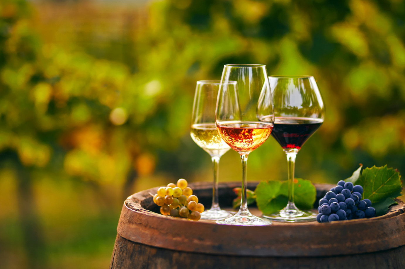 The Spanish Vin-quisition Part 2: Wines of Spain - Calgary Co-op Wine ...